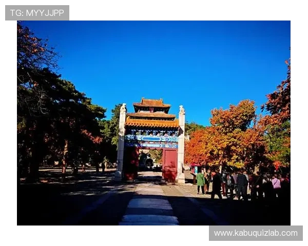 探索9游官网个人中心的各项服务与便利功能