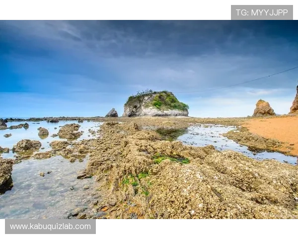森林舞会的视觉效果设计详解带来令人惊叹的自然风光与丰富的动画效果体验 森林舞会的视觉效果设计详解带来令人惊叹的自然风光与丰富的动画效果体验