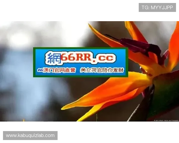 J9九游手机版APP常见问题与解决方案，帮助玩家快速排查与修复